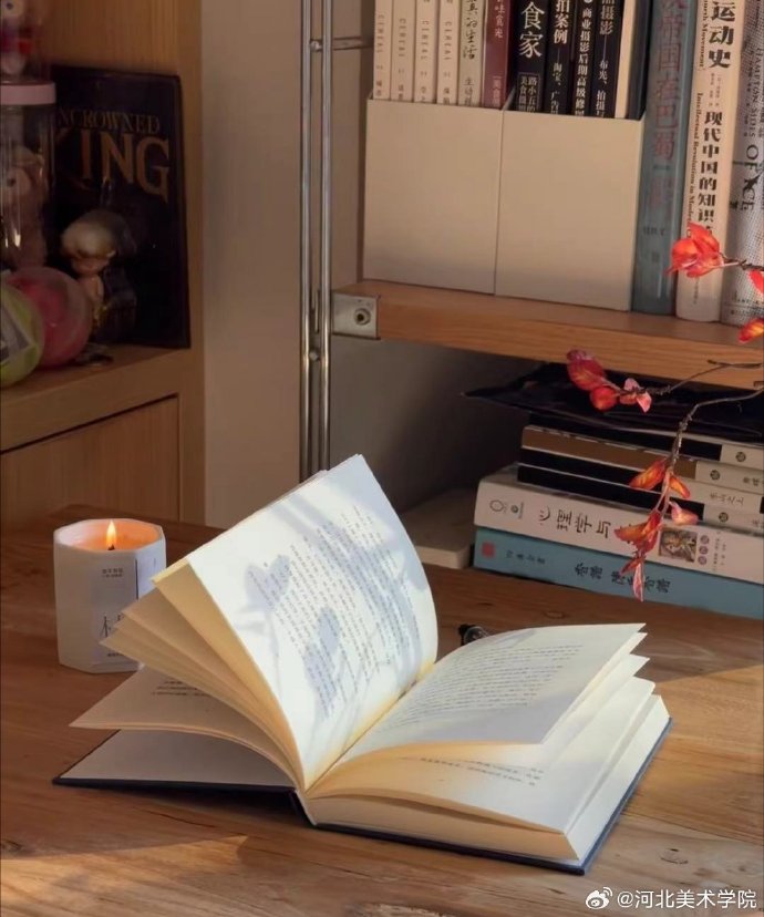 国产精品爽爽久久久久久竹菊