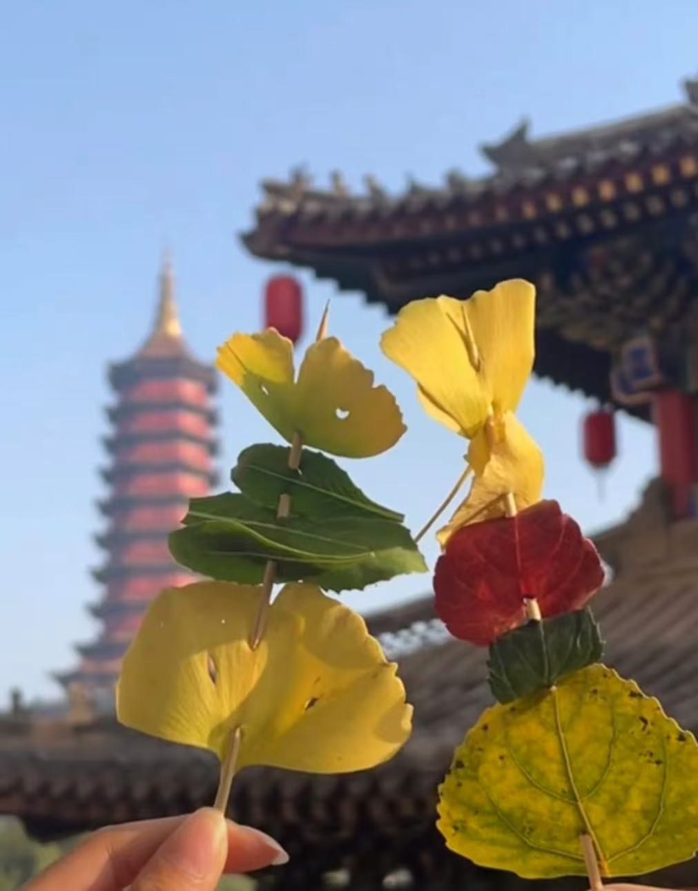 国产精品爽爽久久久久久竹菊