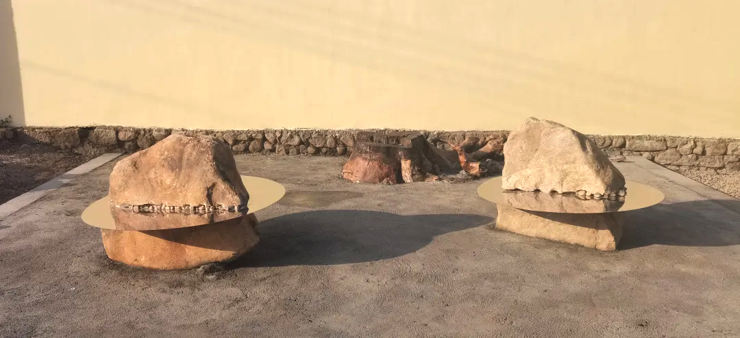 国产精品爽爽久久久久久竹菊