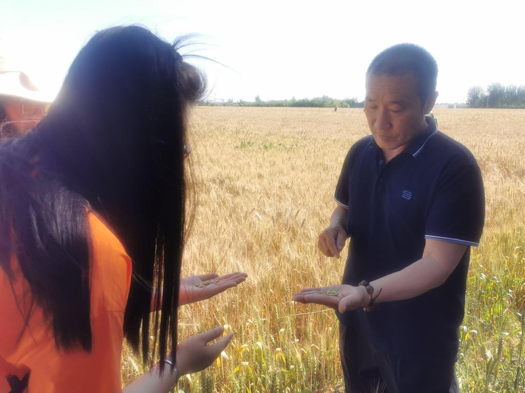 国产精品爽爽久久久久久竹菊