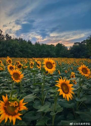 国产精品爽爽久久久久久竹菊