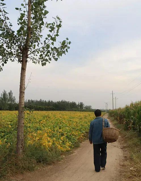 国产精品爽爽久久久久久竹菊