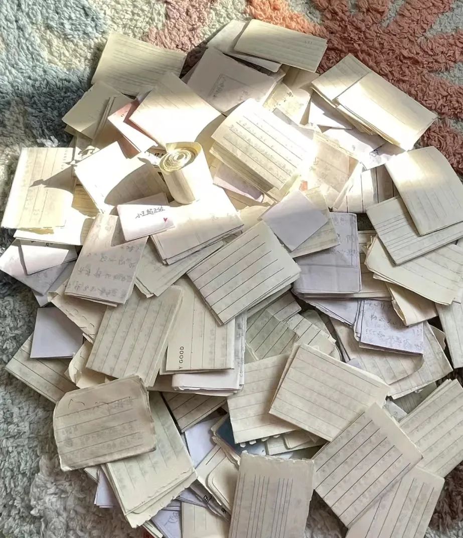 国产精品爽爽久久久久久竹菊