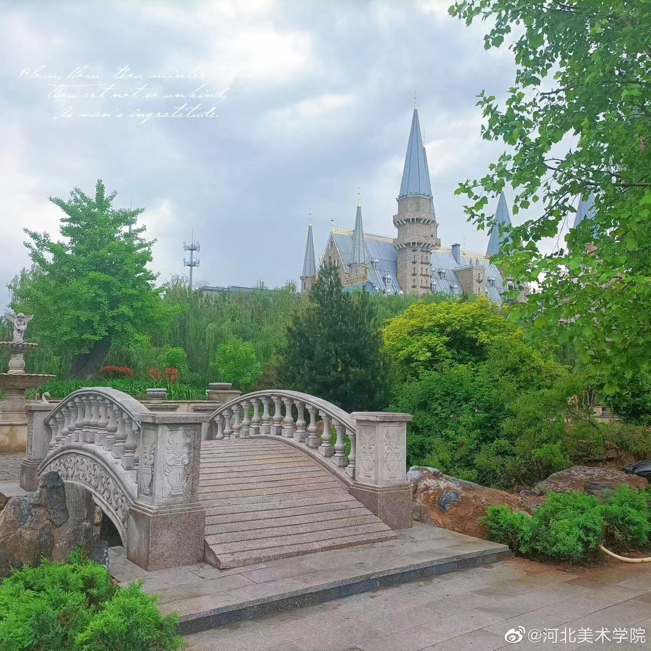 国产精品爽爽久久久久久竹菊