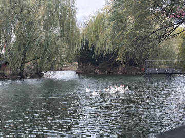 国产精品爽爽久久久久久竹菊