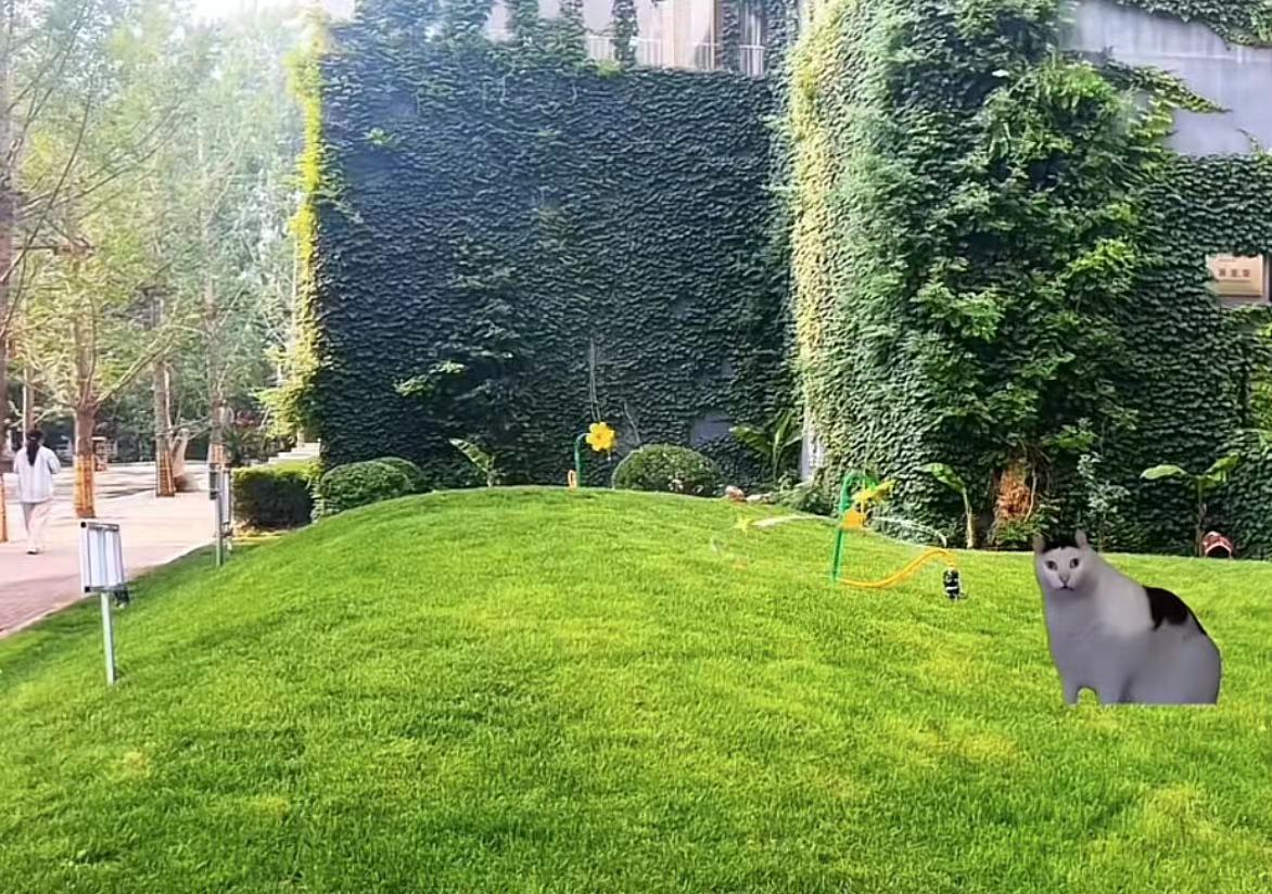 国产精品爽爽久久久久久竹菊