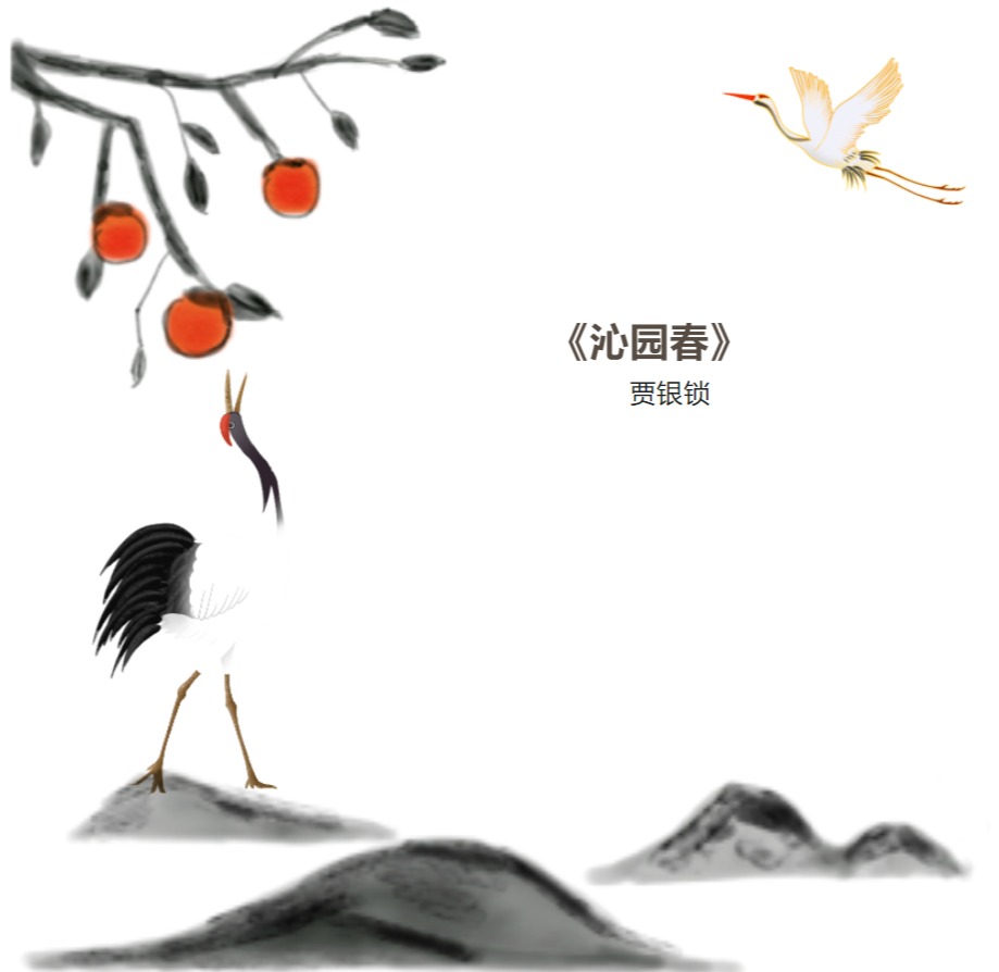 国产精品爽爽久久久久久竹菊