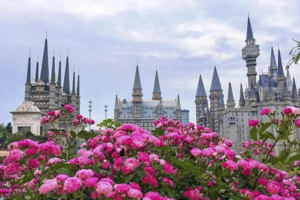 国产精品爽爽久久久久久竹菊