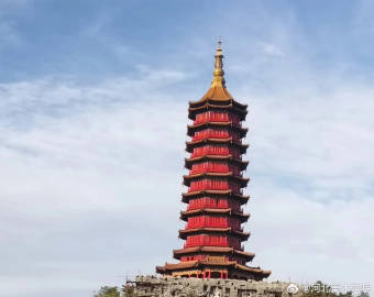 国产精品爽爽久久久久久竹菊