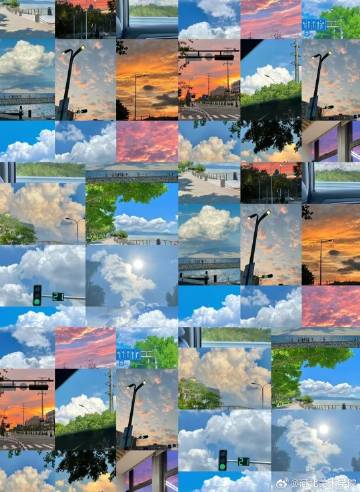 国产精品爽爽久久久久久竹菊