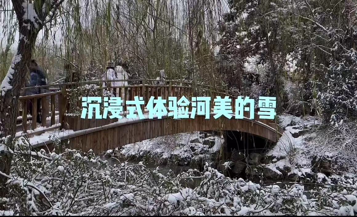 国产精品爽爽久久久久久竹菊