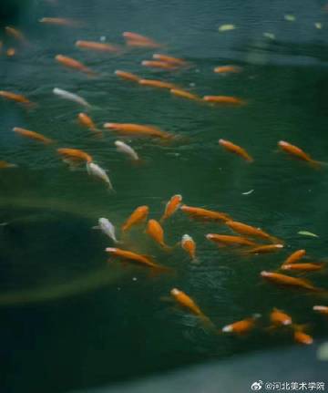 国产精品爽爽久久久久久竹菊