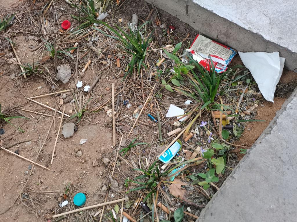 国产精品爽爽久久久久久竹菊