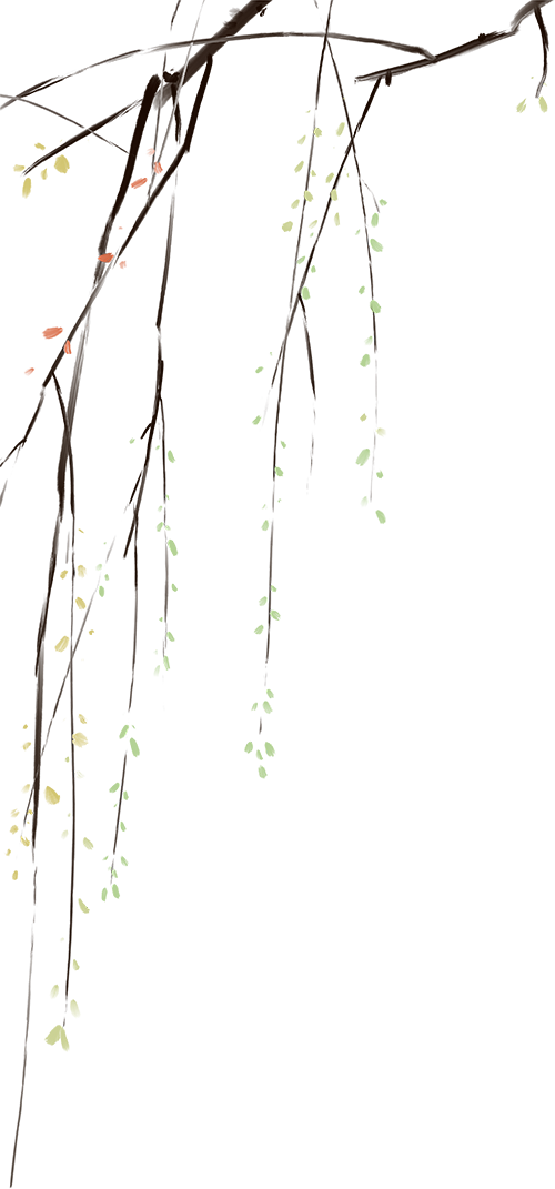 国产精品爽爽久久久久久竹菊