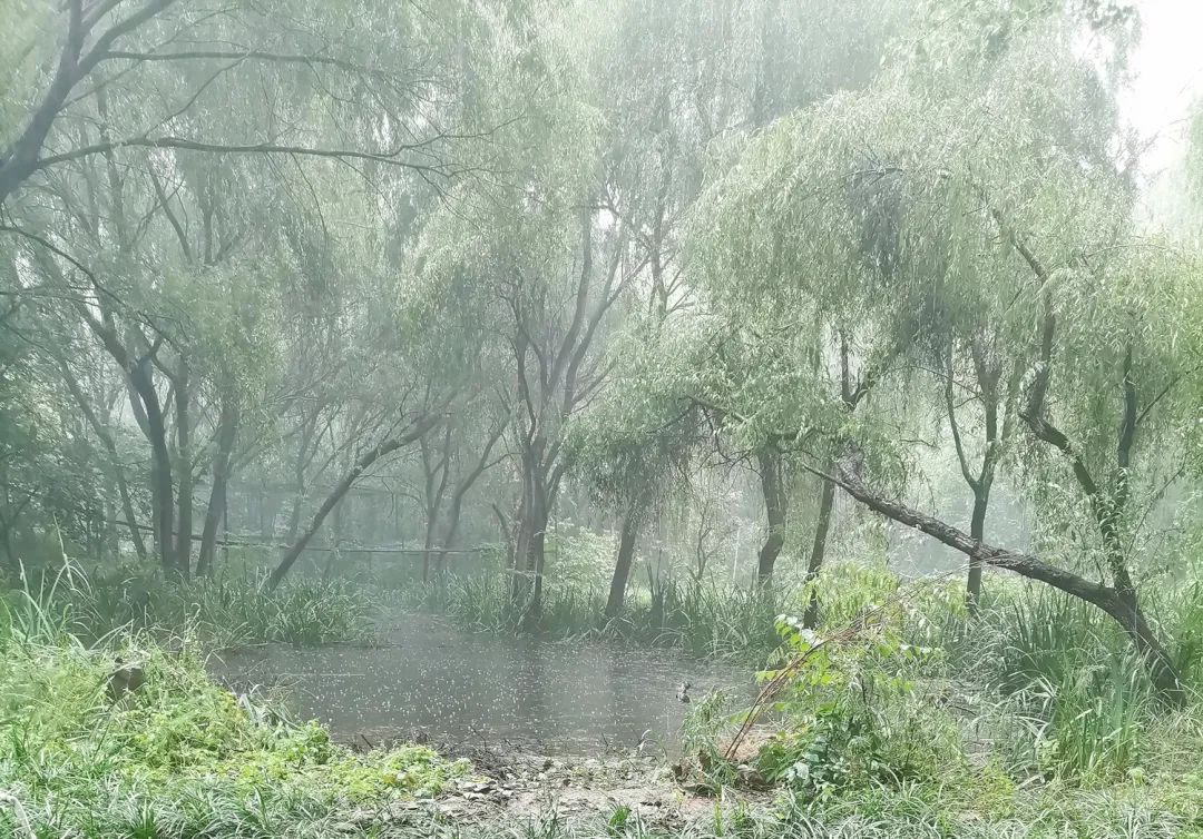 国产精品爽爽久久久久久竹菊