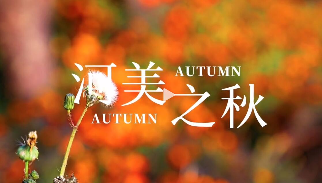 国产精品爽爽久久久久久竹菊