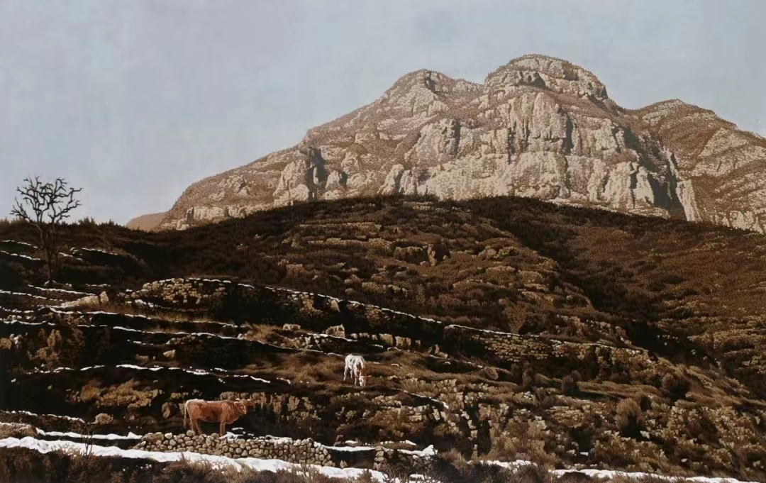 国产精品爽爽久久久久久竹菊