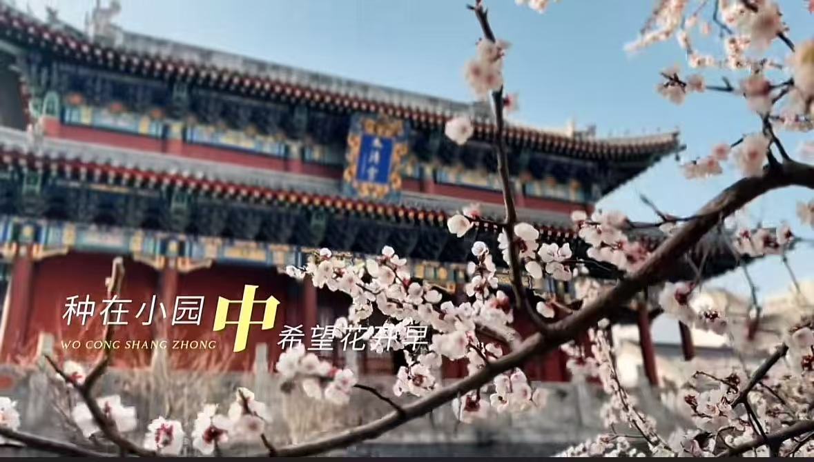 国产精品爽爽久久久久久竹菊