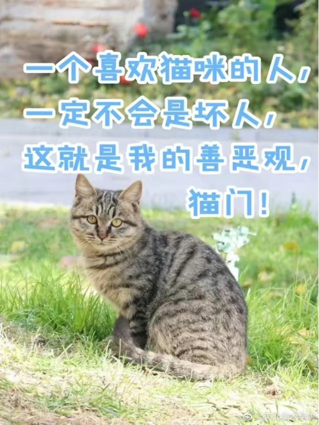 国产精品爽爽久久久久久竹菊