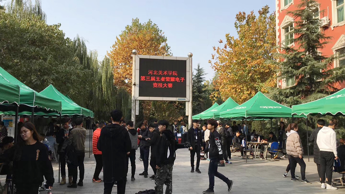 国产精品爽爽久久久久久竹菊