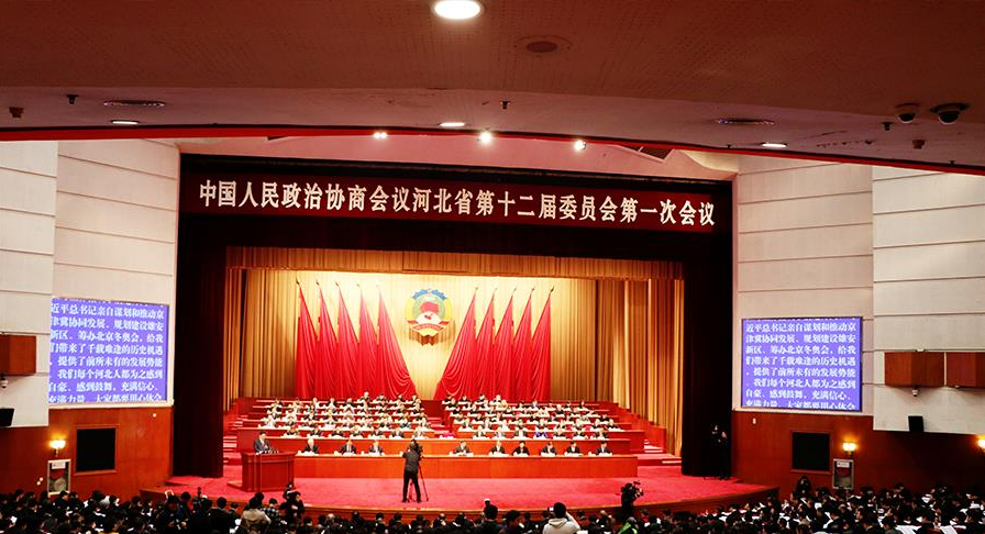 国产精品爽爽久久久久久竹菊