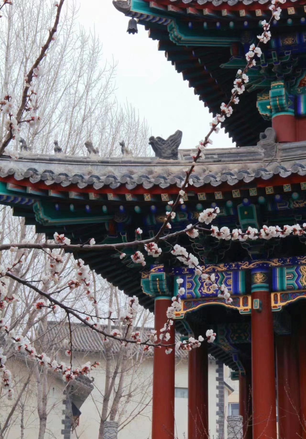 国产精品爽爽久久久久久竹菊