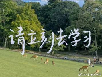 国产精品爽爽久久久久久竹菊