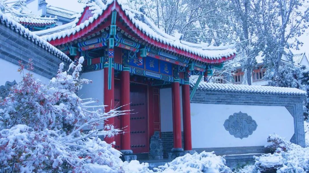 国产精品爽爽久久久久久竹菊