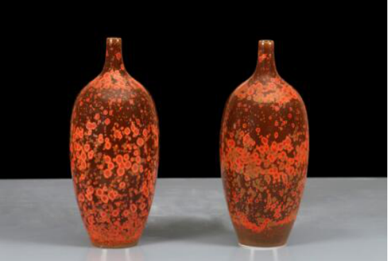 国产精品爽爽久久久久久竹菊