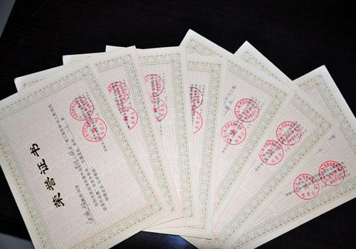 国产精品爽爽久久久久久竹菊