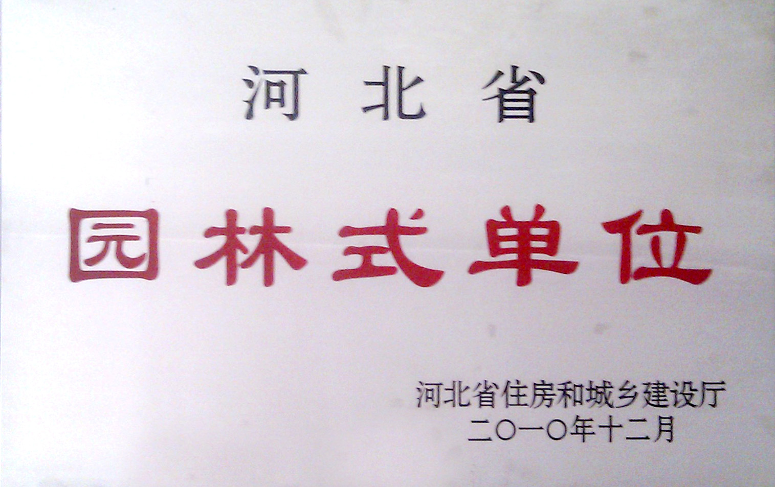 国产精品爽爽久久久久久竹菊