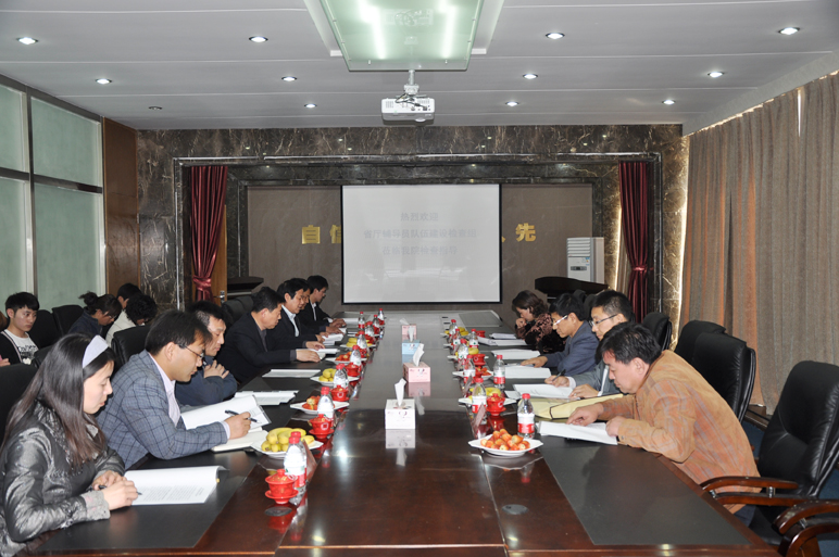 国产精品爽爽久久久久久竹菊