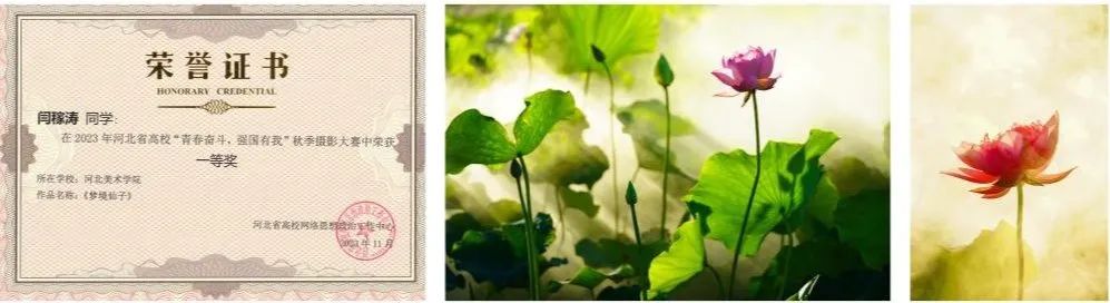 国产精品爽爽久久久久久竹菊