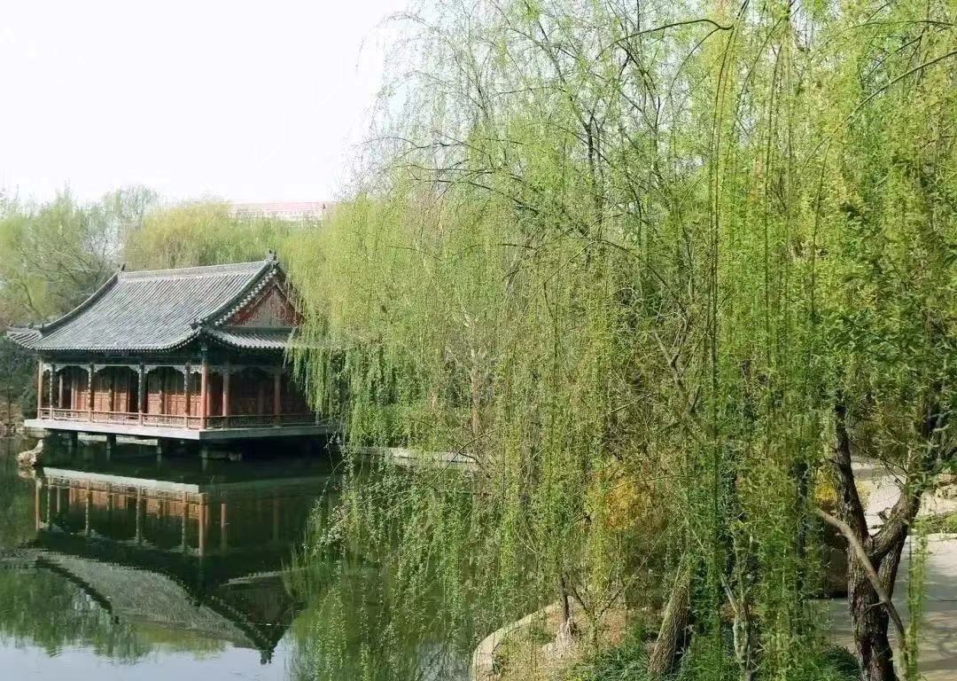 国产精品爽爽久久久久久竹菊