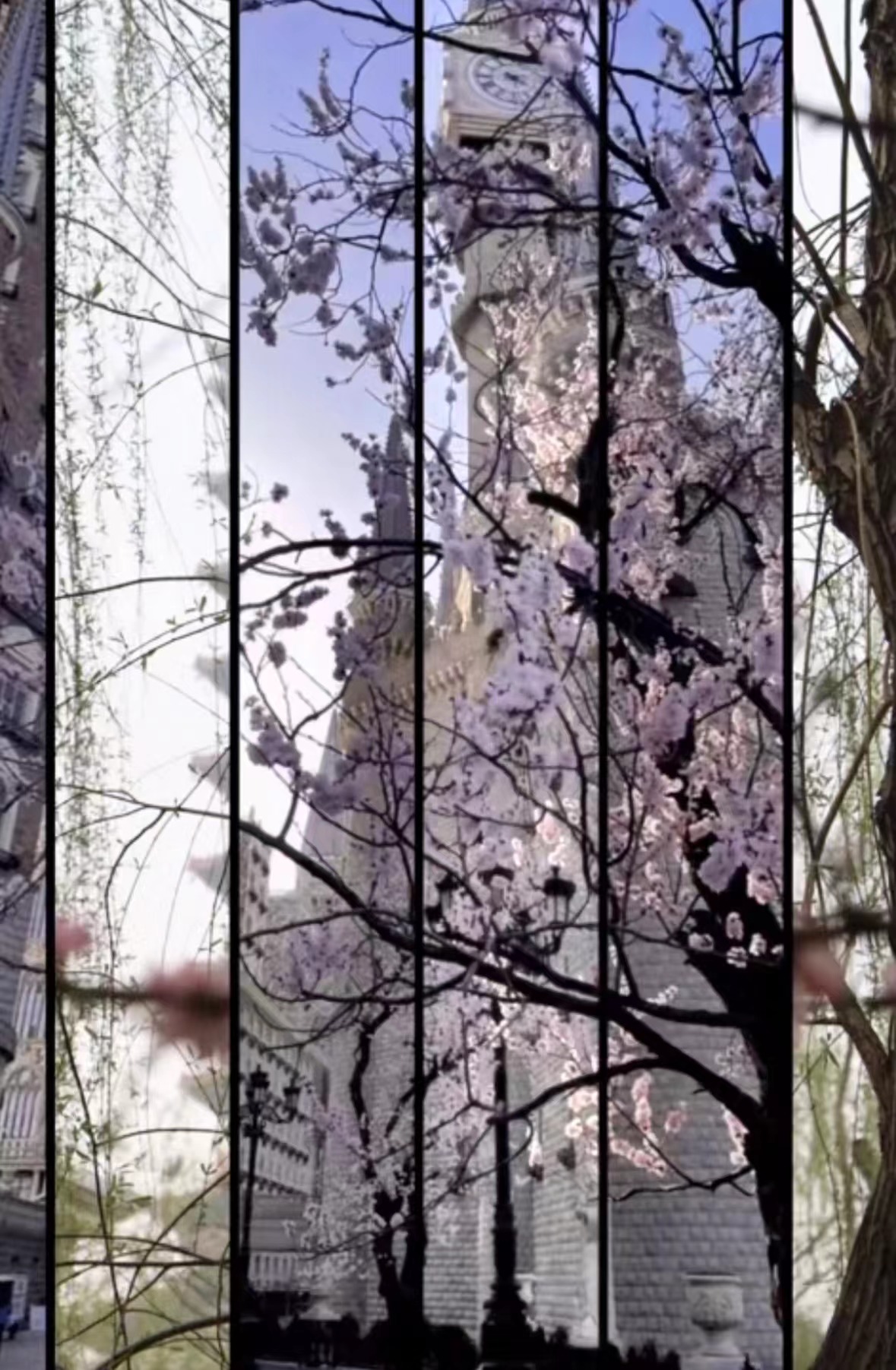 国产精品爽爽久久久久久竹菊