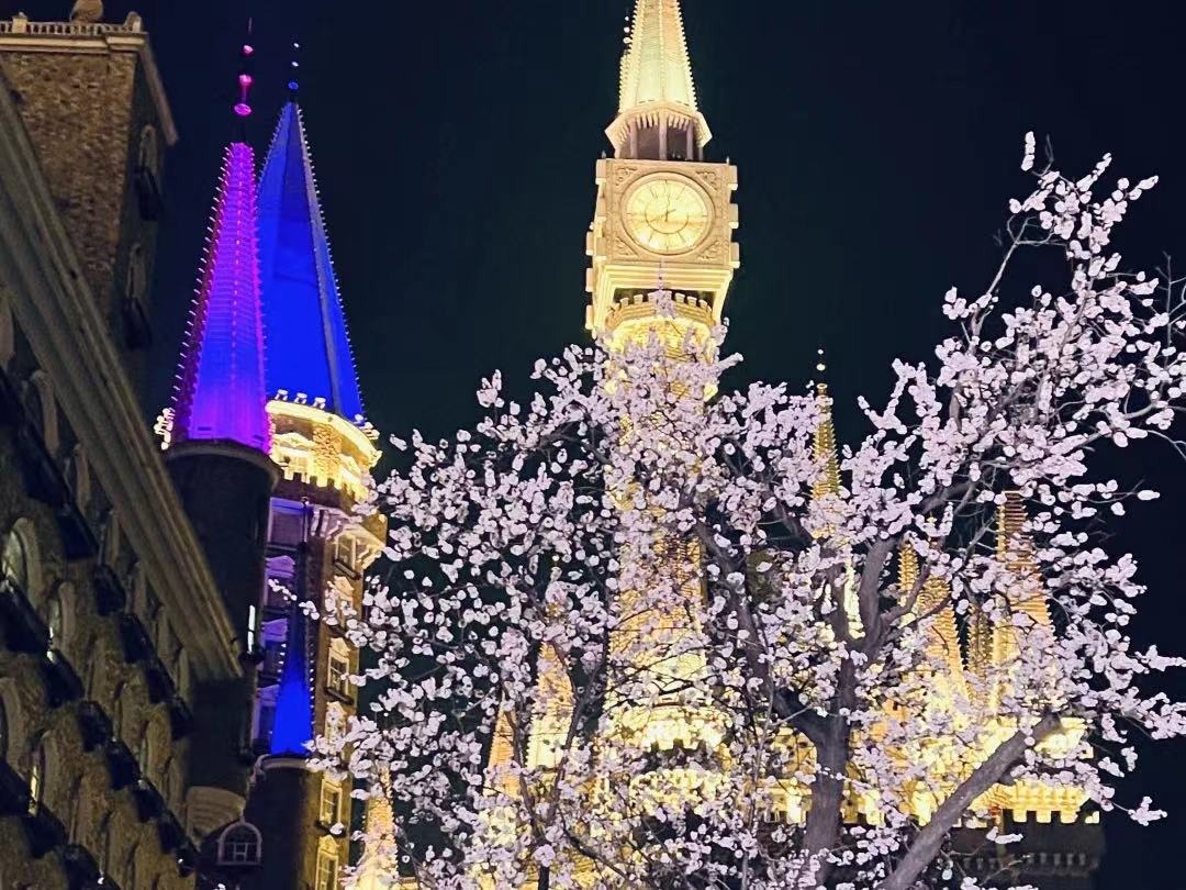 国产精品爽爽久久久久久竹菊