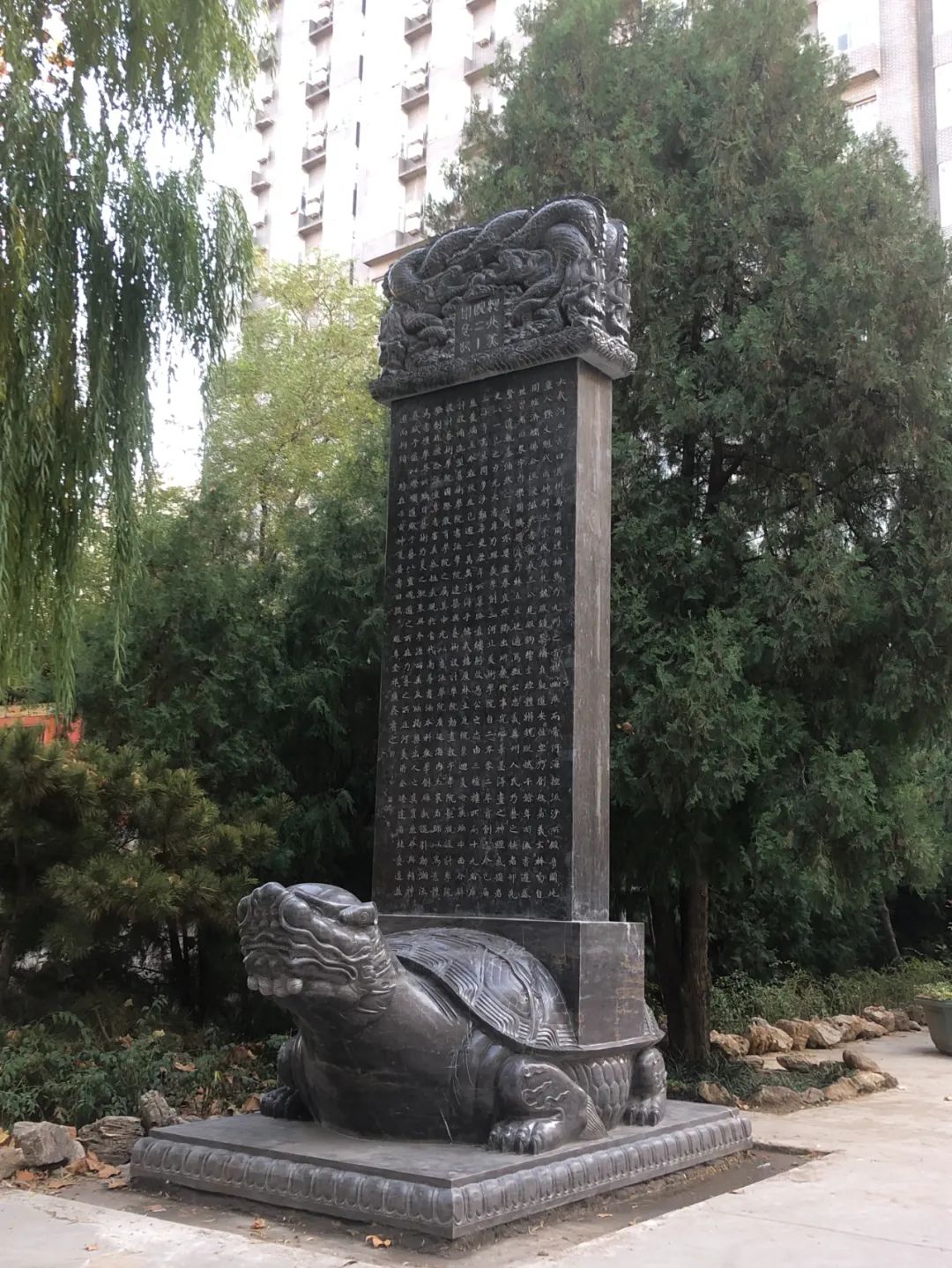 国产精品爽爽久久久久久竹菊