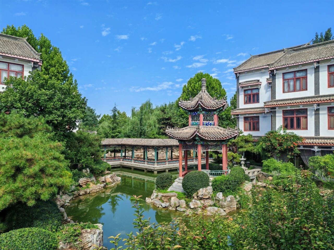 国产精品爽爽久久久久久竹菊