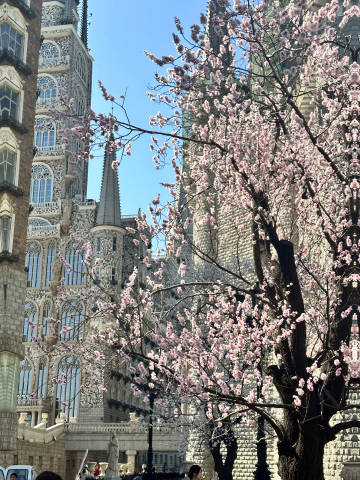 国产精品爽爽久久久久久竹菊