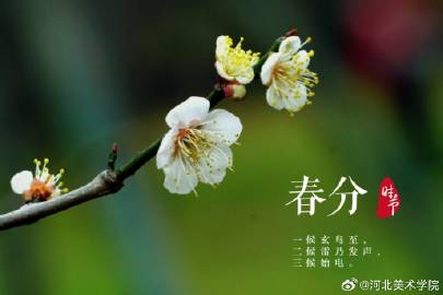 国产精品爽爽久久久久久竹菊