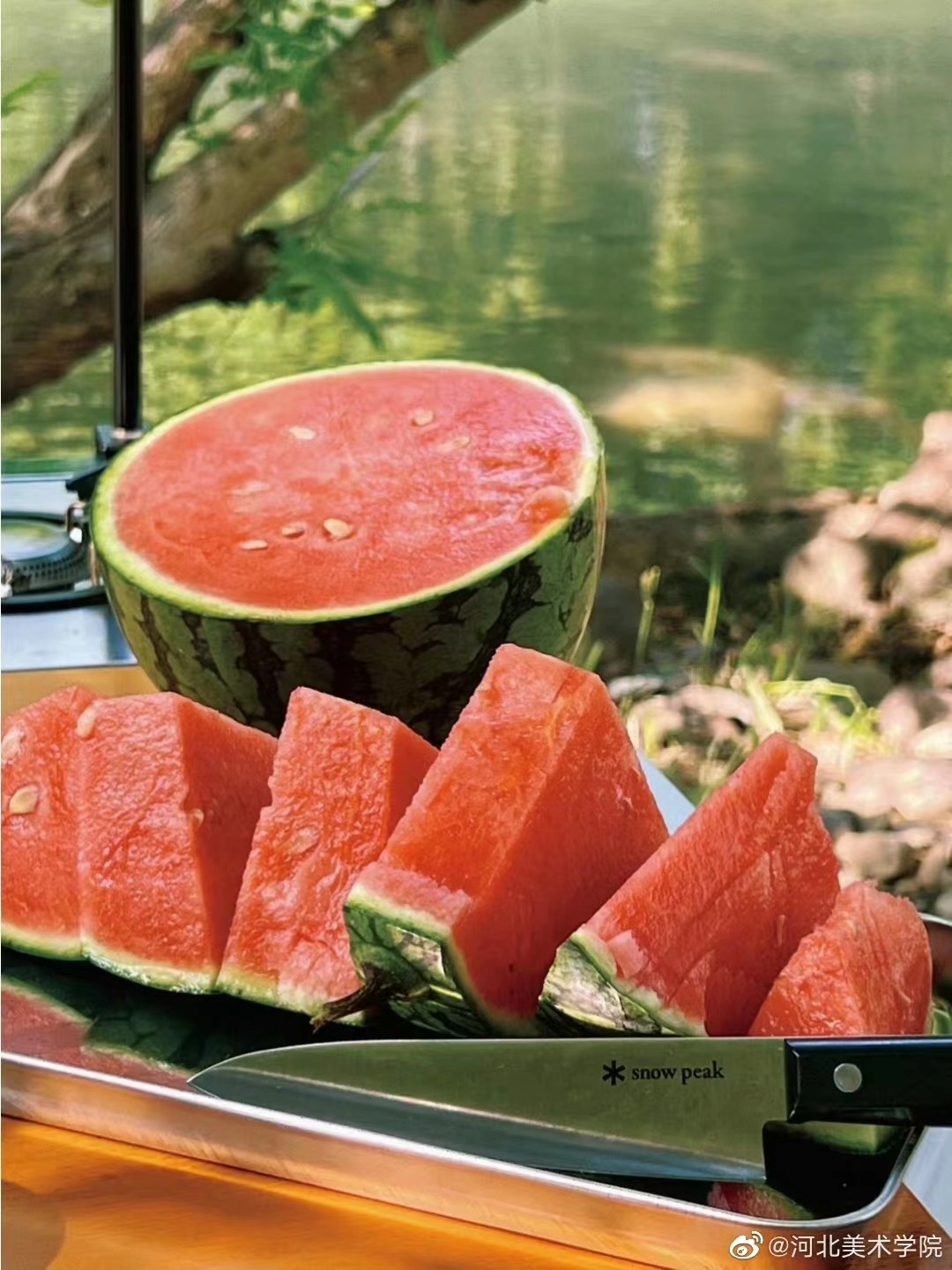 国产精品爽爽久久久久久竹菊