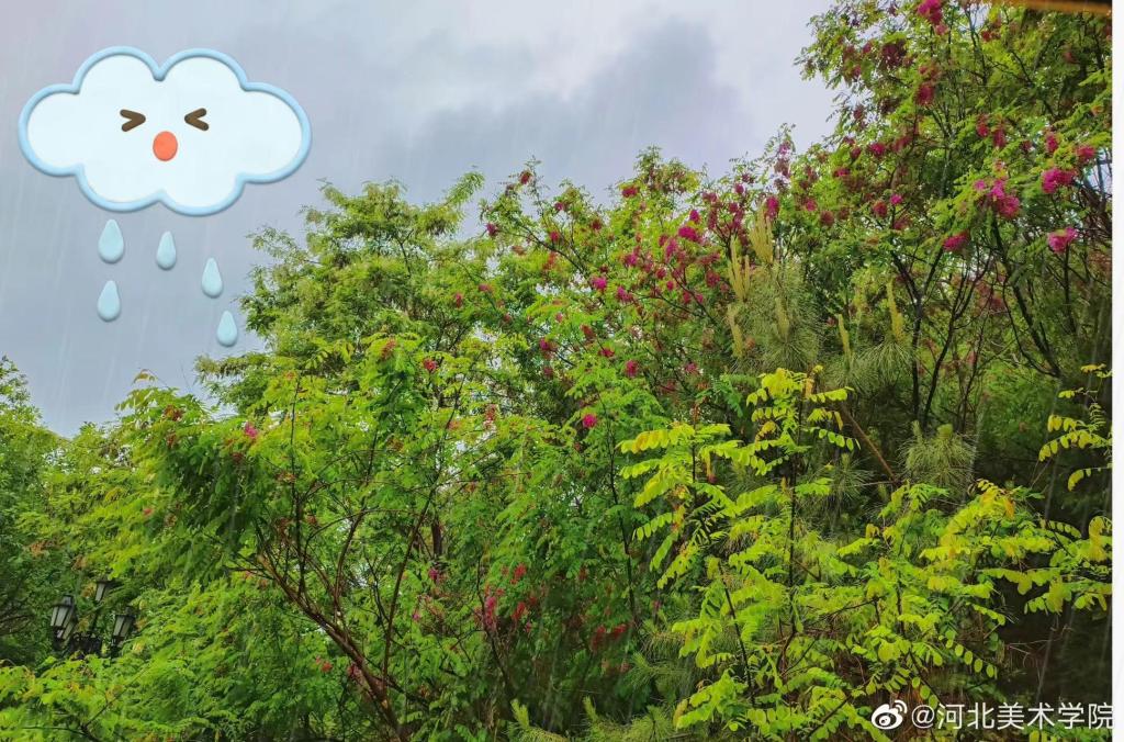 国产精品爽爽久久久久久竹菊