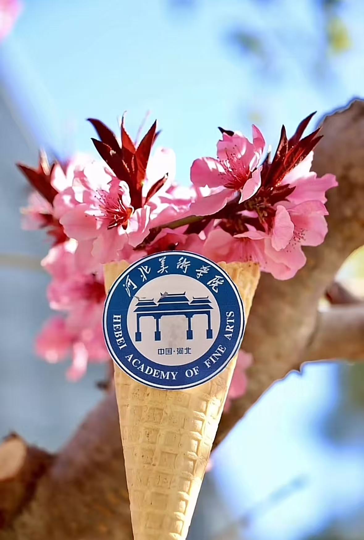 国产精品爽爽久久久久久竹菊