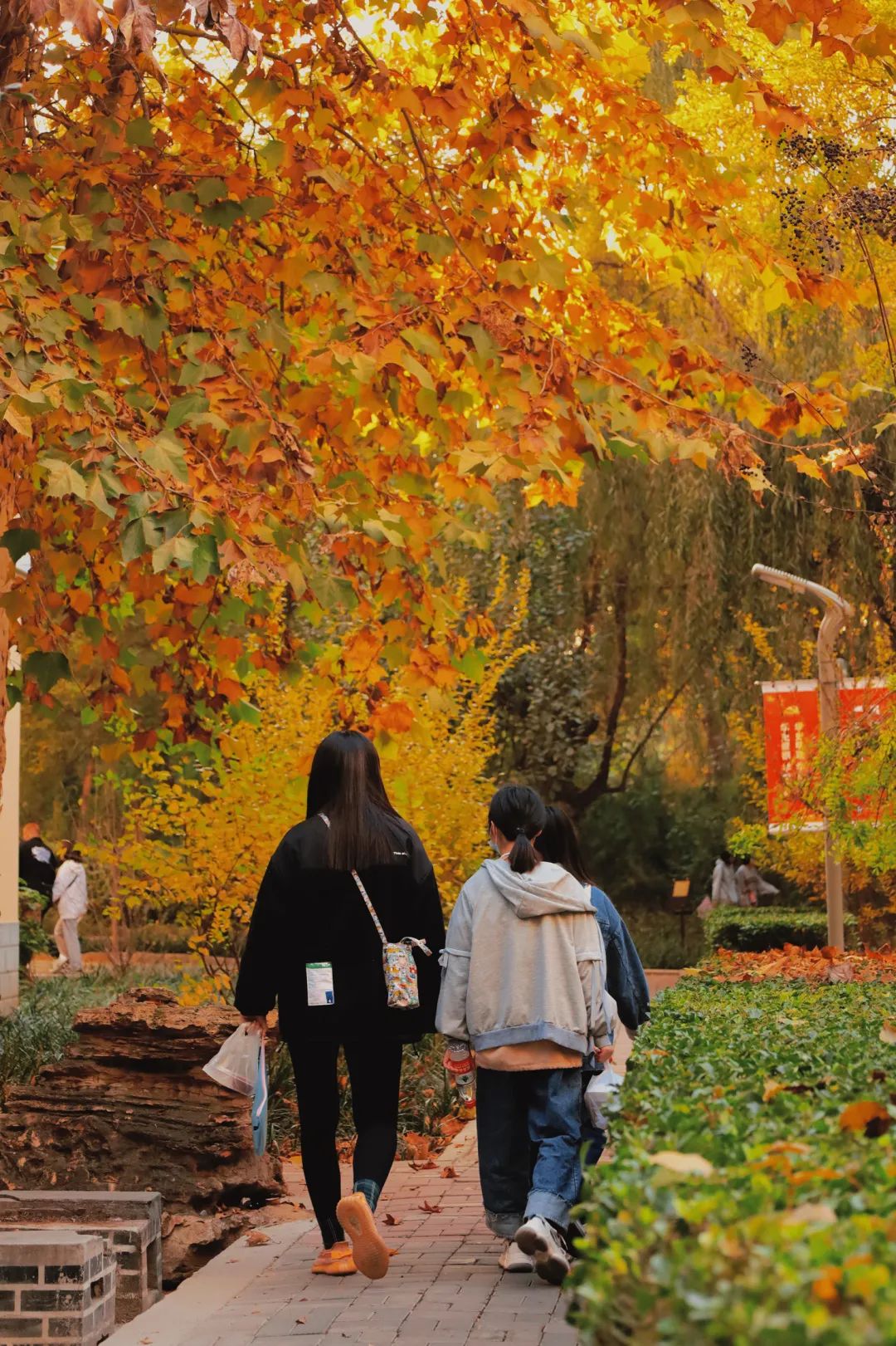 国产精品爽爽久久久久久竹菊