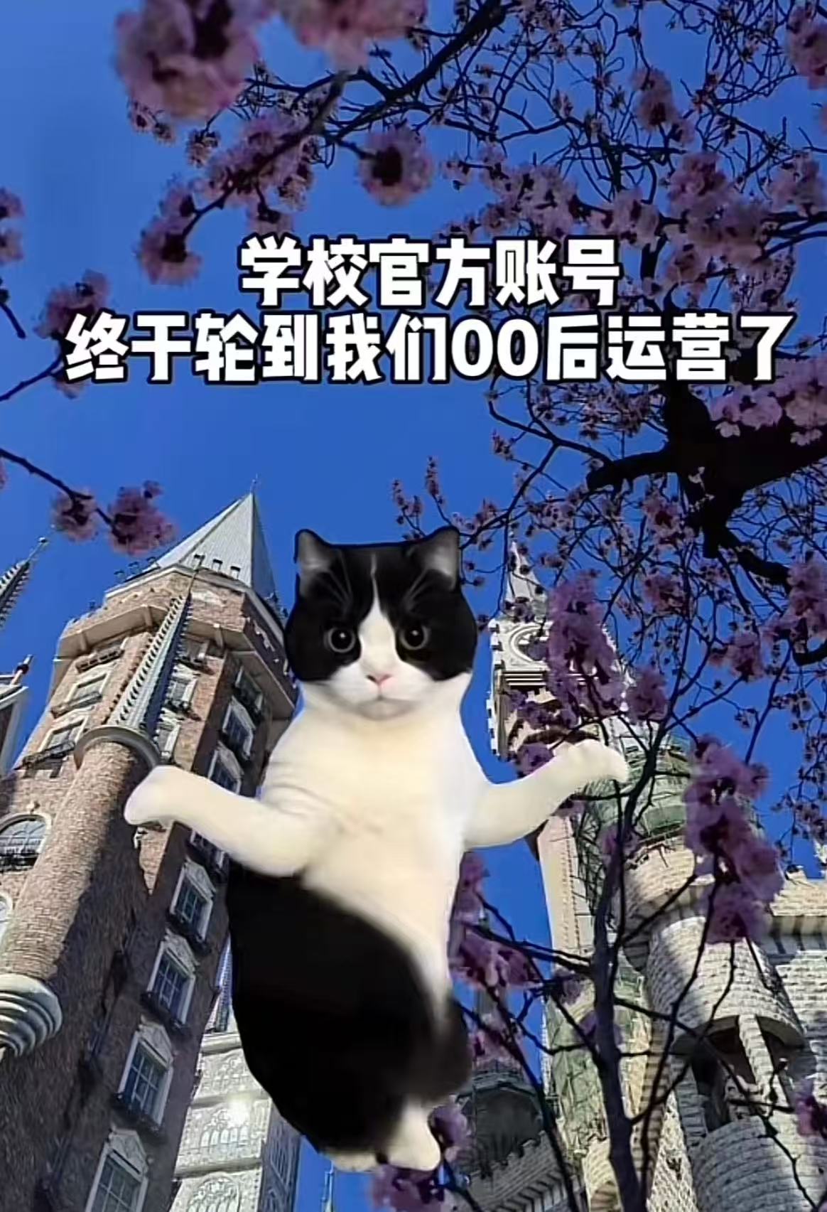 国产精品爽爽久久久久久竹菊