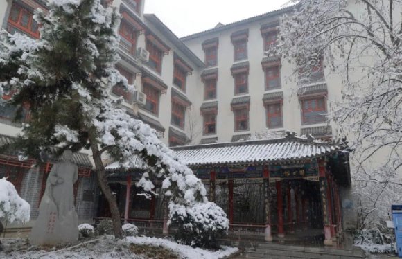 国产精品爽爽久久久久久竹菊