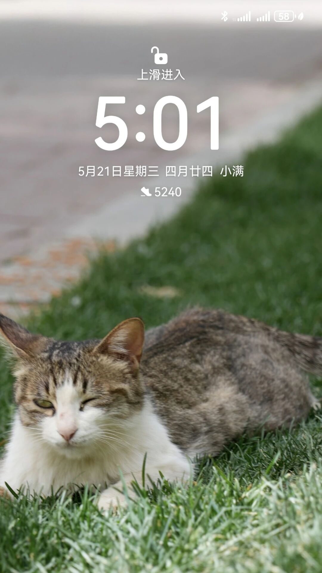 国产精品爽爽久久久久久竹菊