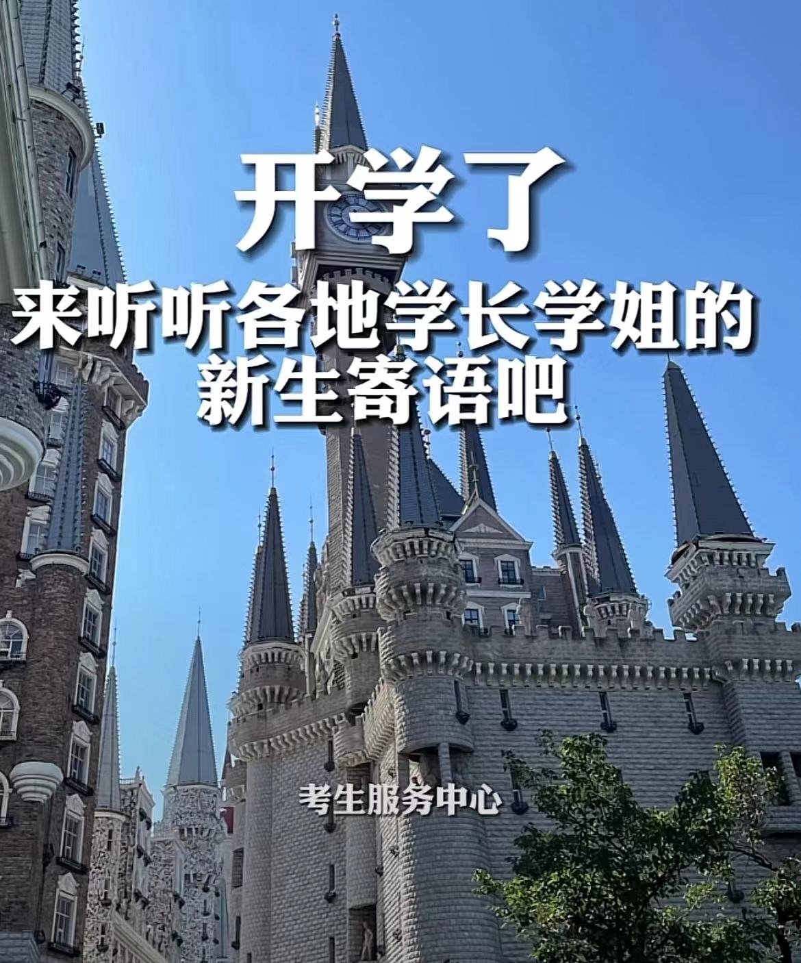 国产精品爽爽久久久久久竹菊