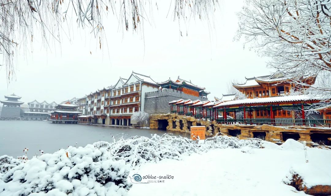 国产精品爽爽久久久久久竹菊