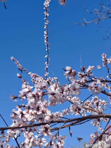 国产精品爽爽久久久久久竹菊